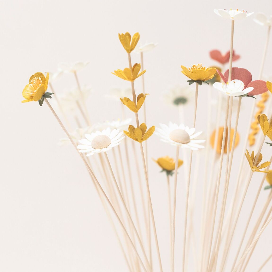 Bar à Fleurs | Les Sauvages |