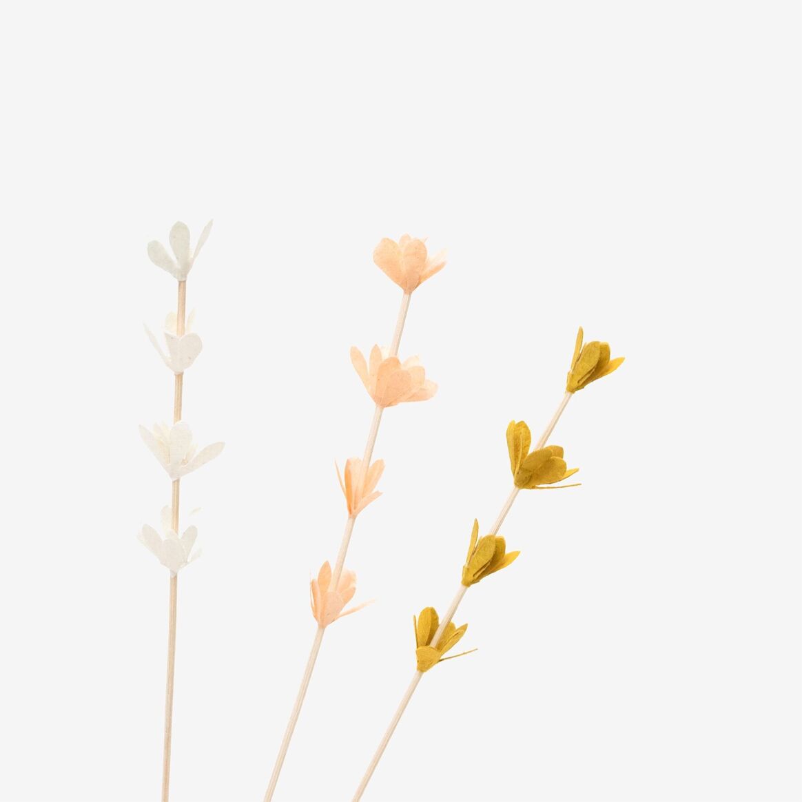 Bar à Fleurs | Les Sauvages |